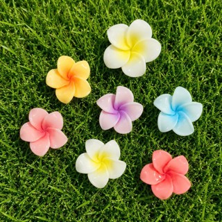 🌺 Set Charm Hoa Sứ Cầu Vồng Pastel – Rainbow Plumeria Flower Charm