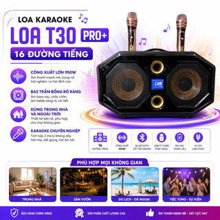 Loa Karaoke LMK Audio T30 PRO 16 Đường Tiếng, Công Xuất Lớn 950W, 2 Loa Bas 20cm, Loa Dùng Trong Nhà Và Ngoài Trời