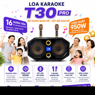 Loa Karaoke LMK Audio T30 PRO 16 Đường Tiếng, Công Xuất Lớn 950W, 2 Loa Bas 20cm, Loa Dùng Trong Nhà Và Ngoài Trời