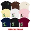 Áo thun Boxy in hình Chú Thằn Lằn vui nhộn Halev brand chất Cotton Premium 260Gsm