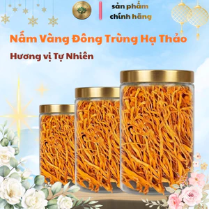Đông trùng hạ thảo khô hàng cao cấp loại 1 sợi to khô vàng tự nhiên túi 250g giá sỉ