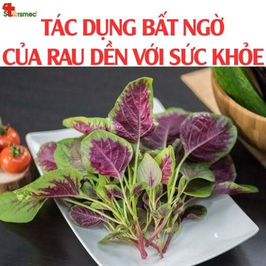 50gr Hạt Giống Rau Dền Tía TN 36, Hạt Nảy Mầm Nhanh, Mạnh, Trồng Quanh Năm, Rau Ăn Lá Cty Trang Nông Nổi Tiếng