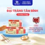 3 hộp Đại tràng Tâm Bình - Dành cho người viêm đại tràng, rối loạn tiêu hóa, chướng bụng, phân nát, lỏng