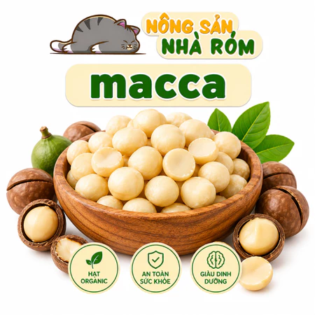 500g nhân Macca (Mắc ca) sấy chín Đăk Lăk giàu chất béo thơm giòn ngọt thực phẩm khô