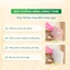 Kem Lười Đậu Đỏ 3in1 Cỏ Cây Hoa Lá 25g – Chống Nắng Vật Lý, Dưỡng Sáng, Trang Điểm, Nâng Tông