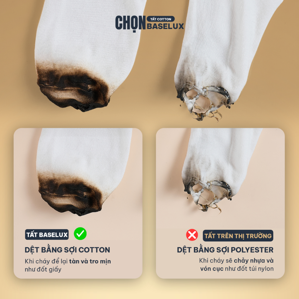 Tất nữ BaseLux tất chân nữ cotton siêu thoáng khí, vớ nữ kiểu dáng trơn dễ phối đồ, vớ chân nữ kháng khuẩn tự nhiên