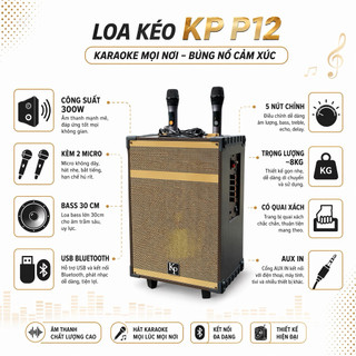 Loa Kéo KP P12 Được Thiết Kế 2 Đường Tiếng, Với Loa Bass 30cm Phù Hợp Với Những Phòng Karaoke Có Diện Tích Từ 40 - 50m2