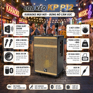 Loa Kéo KP P12 Được Thiết Kế 2 Đường Tiếng, Với Loa Bass 30cm Phù Hợp Với Những Phòng Karaoke Có Diện Tích Từ 40 - 50m2