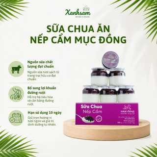 [HỎA TỐC] Sữa Chua Ăn Mục Đồng 1 hộp (Hũ x 6) 120g/ hũ - Xanhsam Natural & Organic
