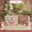 Set 03 Quần Tiny Kitty Cao Cấp Hộp Quà Tinh Tế Với Thiết Kế Hoa Văn Đẹp Mắt Phong Cách Cho Mọi Dịp Tặng Quà