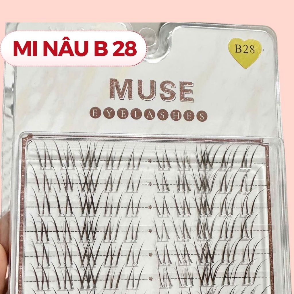 LeeVelvetLashes  mi giả muse B28 cụm mi đan chéo nhẹ, tạo độ dày và độ xòe đẹp mắt