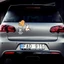Miếng dán xe Sticker chống nước mèo vui nhộn dán trang trí ô tô xe máy, cửa kính, bàn tủ tường...