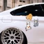 Miếng dán xe Sticker chống nước mèo vui nhộn dán trang trí ô tô xe máy, cửa kính, bàn tủ tường...