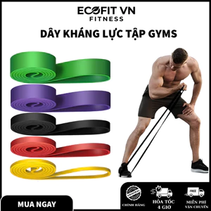 Dây Kháng Lực Powerband ECOFIT - Tập Gym, Tập Cơ Tại nhà Hỗ Trợ Tăng Cơ Giảm Mỡ, Đủ Mức Kháng Lực