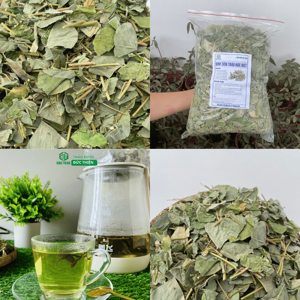500g, 1kg Kim Tiền Thảo Đức Thiện - Sỏi Thận, Tiết Niệu, Bàng Quang, Trĩ, Túi Mật Và Gan