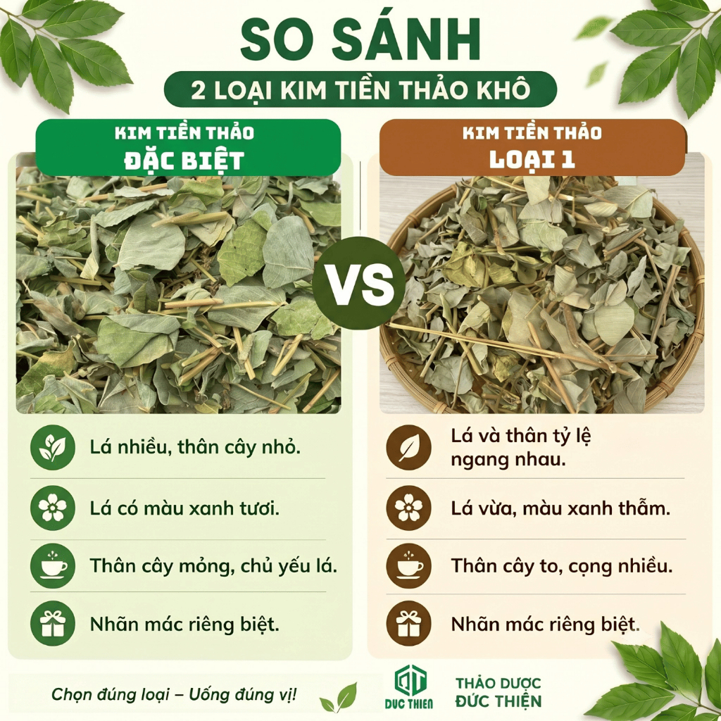500g, 1kg Kim Tiền Thảo Đức Thiện - Sỏi Thận, Tiết Niệu, Bàng Quang, Trĩ, Túi Mật Và Gan