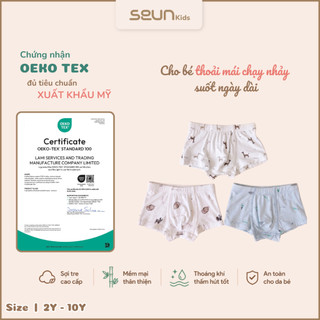 | SEUN KIDS | Combo 3 quần chip đùi sợi tre cho bé trai chuẩn OEKO TEX xuất Mỹ kháng khuẩn 8-35kg quần lót trẻ em