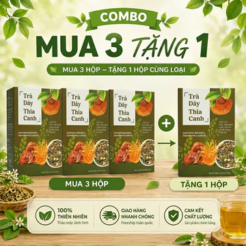 Trà dây thìa canh ổn định đường huyết hỗ trợ tiểu đường trà thảo mộc tự nhiên hộp 30 túi lọc