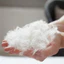 Lông vũ tự nhiên nhồi ruột gối 1kg