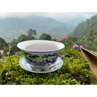Hồng trà cổ thụ Cao Bồ - Tây Côn Lĩnh