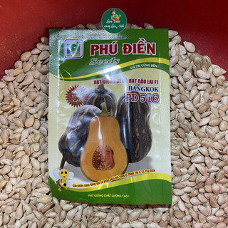 [GÓI LỚN 10G~80 HẠT] Hạt giống Bí Đỏ Hạt Đậu Lai F1, Bí Đỏ Hồ Lô, Dễ Trồng, Năng Suất Cao