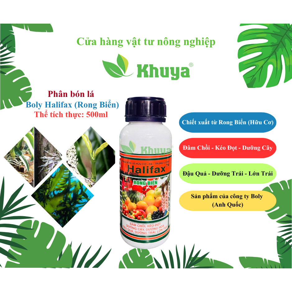 Phân bón lá Boly Halifax Rong Biển Canada ĐÂM CHỒI - KÉO ĐỌT - DƯỠNG CÂY