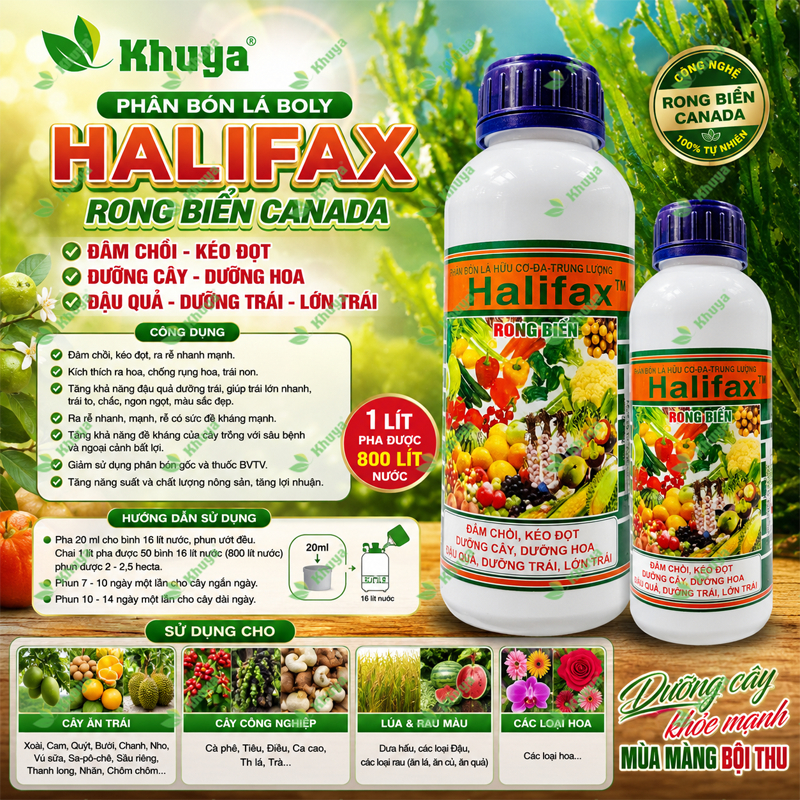 Phân bón lá Boly Halifax Rong Biển Canada ĐÂM CHỒI - KÉO ĐỌT - DƯỠNG CÂY