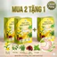 Trà Cây Rau Mương Hộp 30 Gói