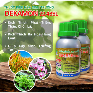 DEKAMON 22,43SL 100ml - Chất Điều Hòa Sinh Trưởng Cho Cây