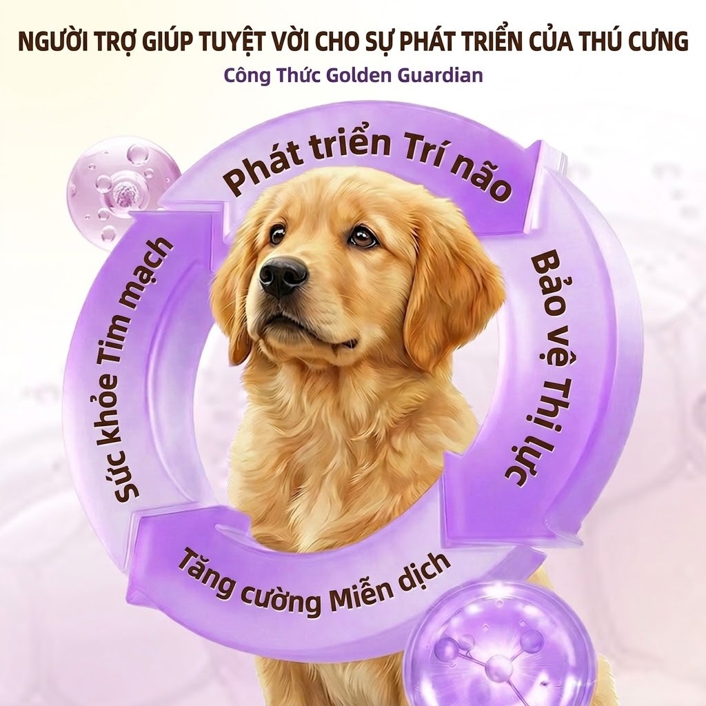 Cassiel Pet Thức Ăn Ướt Cho Chó Mèo Mọi Lứa Tuổi Hỗ Trợ Lông Da Tim Não Hệ Miễn Dịch Sự Thèm Ăn Hông Và Khớp Túi 100g