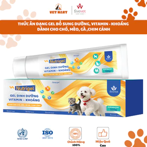 Thức ăn bổ sung cho chó mèo. Gel bổ sung dinh dưỡng vitamin, khoáng cho chó mèo, gà, chim cảnh Five- Nutrigel 100g