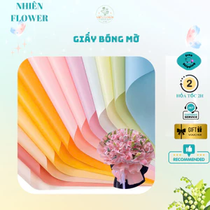 Giấy Bóng Mờ Cao Cấp Nhiều Màu Sắc Tệp 10-20 Tờ, Trang Trí Giỏ Trái Cây, Dùng Gói Hoa, Giỏ Quà
