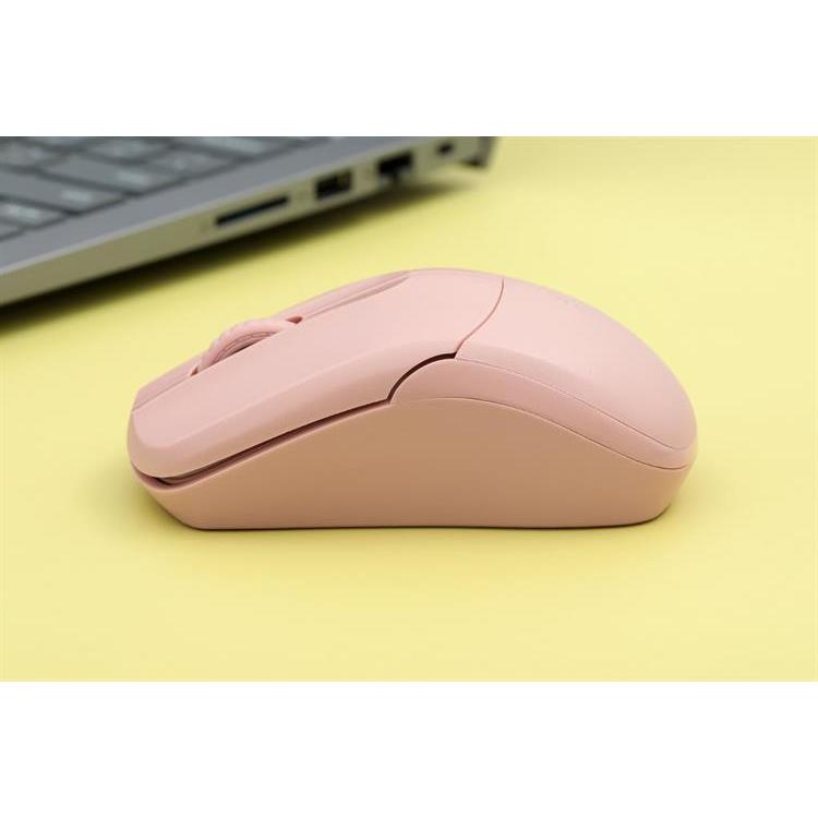 Chuột Không Dây Silent Rapoo B1S
