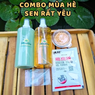 Combo Mùa Hè Sen Đá, Xương Rồng Rất Yêu Mầm Nắng Garden Lỗi 1 Đền 1