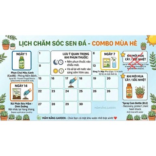 Combo Mùa Hè Sen Đá, Xương Rồng Rất Yêu Mầm Nắng Garden Lỗi 1 Đền 1