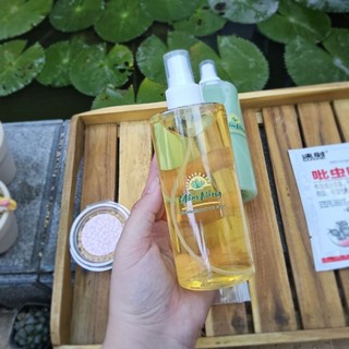 Combo Mùa Hè Sen Đá, Xương Rồng Rất Yêu Mầm Nắng Garden Lỗi 1 Đền 1