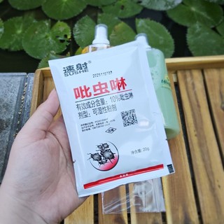 Combo Mùa Hè Sen Đá, Xương Rồng Rất Yêu Mầm Nắng Garden Lỗi 1 Đền 1