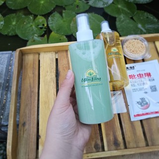 Combo Mùa Hè Sen Đá, Xương Rồng Rất Yêu Mầm Nắng Garden Lỗi 1 Đền 1