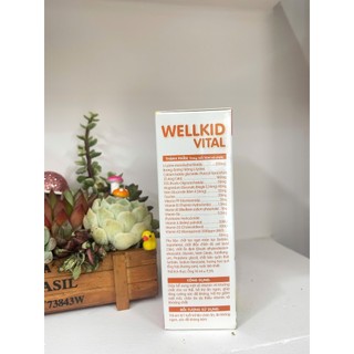N-Biotech Wellkid Vital Bổ Sung 13 Loại Vitamin Và Khoáng Chất Cho Bé
