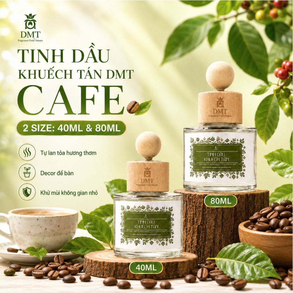 Tinh dầu khuếch tán 40ml - 80ml DMT, Tinh dầu khuếch tán thơm phòng kèm que gỗ, Khuếch tán tự nhiên