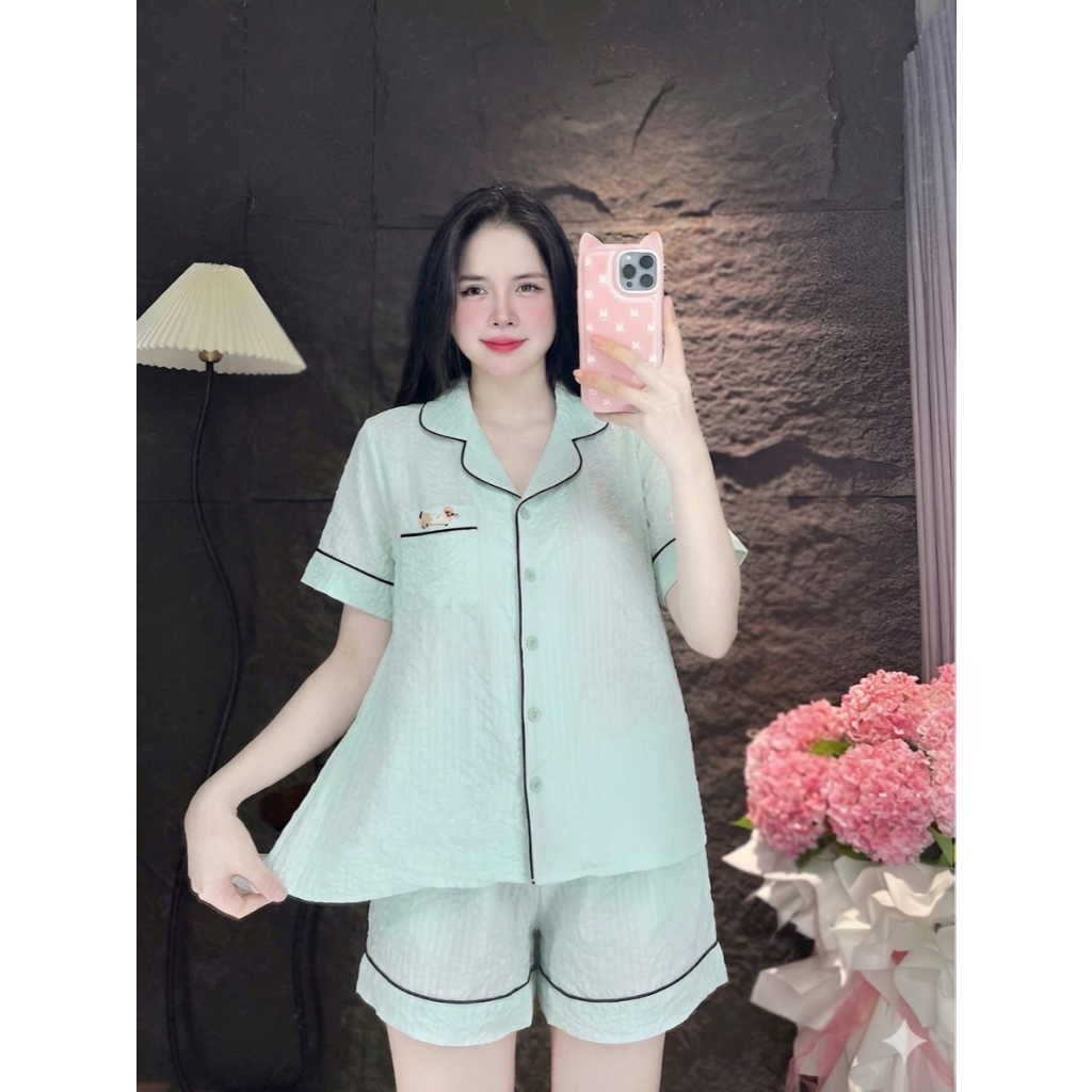 [40-60kg] Bộ Đồ Ngủ Nữ Tay Ngắn Đùi Cộc Đũi Xốp Basic, Đồ Bộ Mặc Nhà Chất Mát Thoáng Mịn CC03