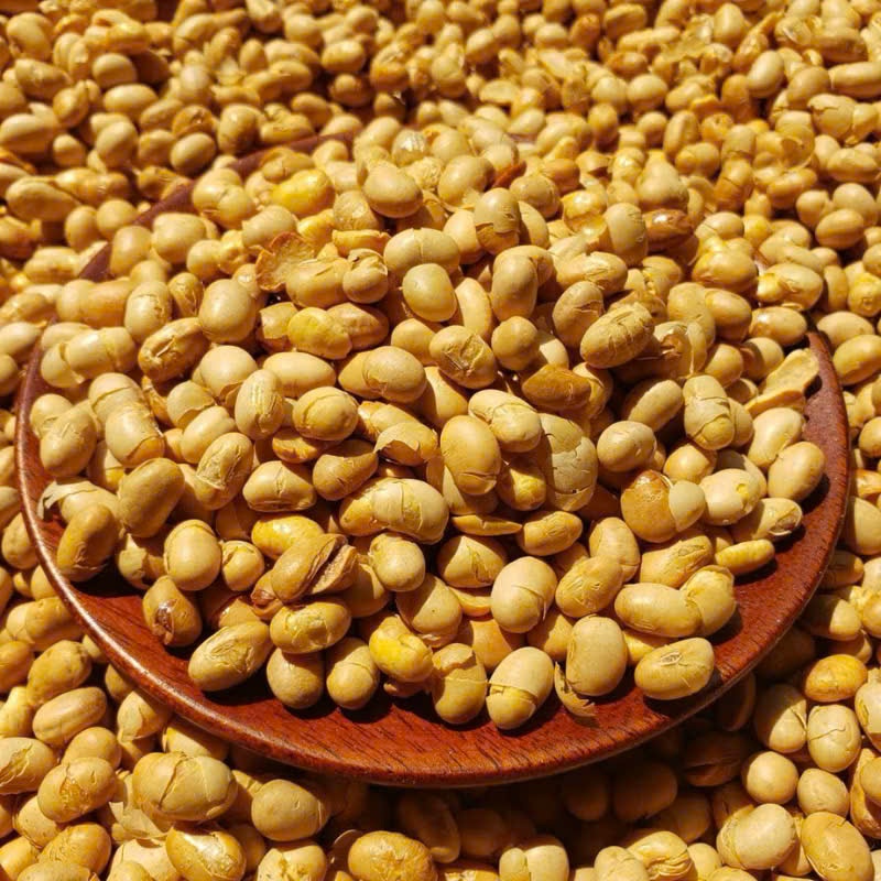 Đậu nành sấy giòn - Sấy mộc