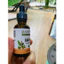 Tinh dầu Làm dịu và thoải mái thảo dược hữu cơ 30ml Banyan Botanicals Ear Oil