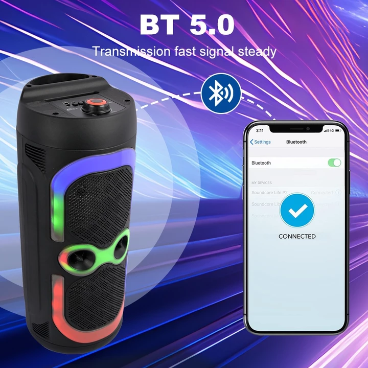 Loa đôi 6,5 inch Loa Bluetooth Loa di động Loa LED Loa karaoke Loa micro – 5