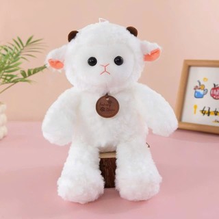 🧸 BST Gấu Bông Dễ Thương Hot Trend size 30cm