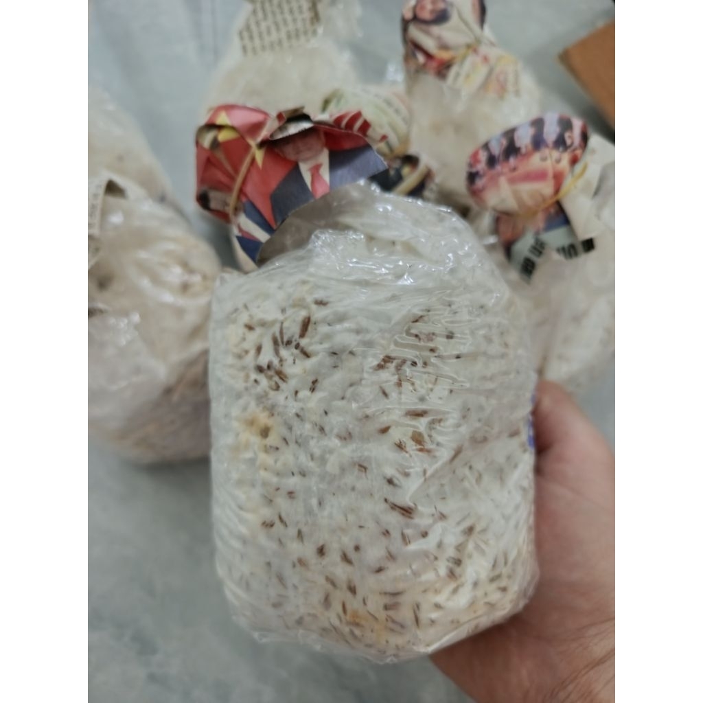Combo 5 bịch nguyên liệu đã khử trùng và túi giống nấm