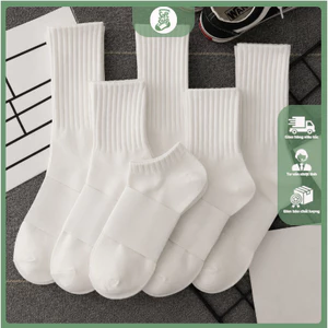 Tất Cotton Unisex Cổ Điển Bốn Mùa - Vớ Nam Nữ Cotton Bông Tân Cương Trơn Basic Cổ Ngắn Cổ Trung Cổ Cao Ngăn Mùi-SoftStep