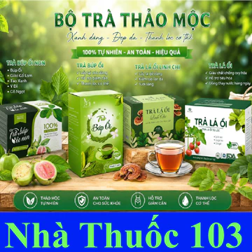 Combo 4 Loại Trà Lá Ổi Túi Lọc - Trà Búp Ổi Non - Trà Lá Ổi Linh Chi - Thanh Lọc Cơ Thể