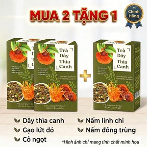Trà Dây Thìa Canh Hộp 30 Túi Lọc