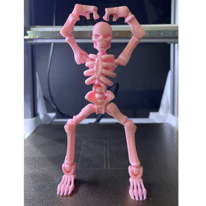 Đồ chơi xương lắp ghép | Công nghệ in 3d | In3D